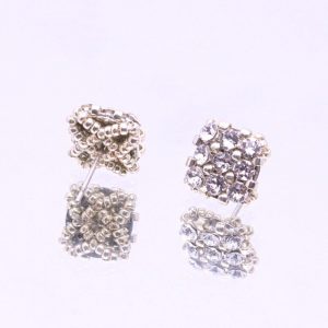 Orecchini Luna Silver