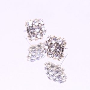 Orecchini Luna Silver
