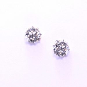 Orecchini Cristina Silver
